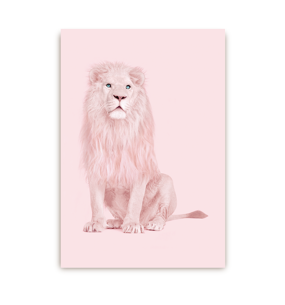 Albino Lion Postcard - Lagom Design