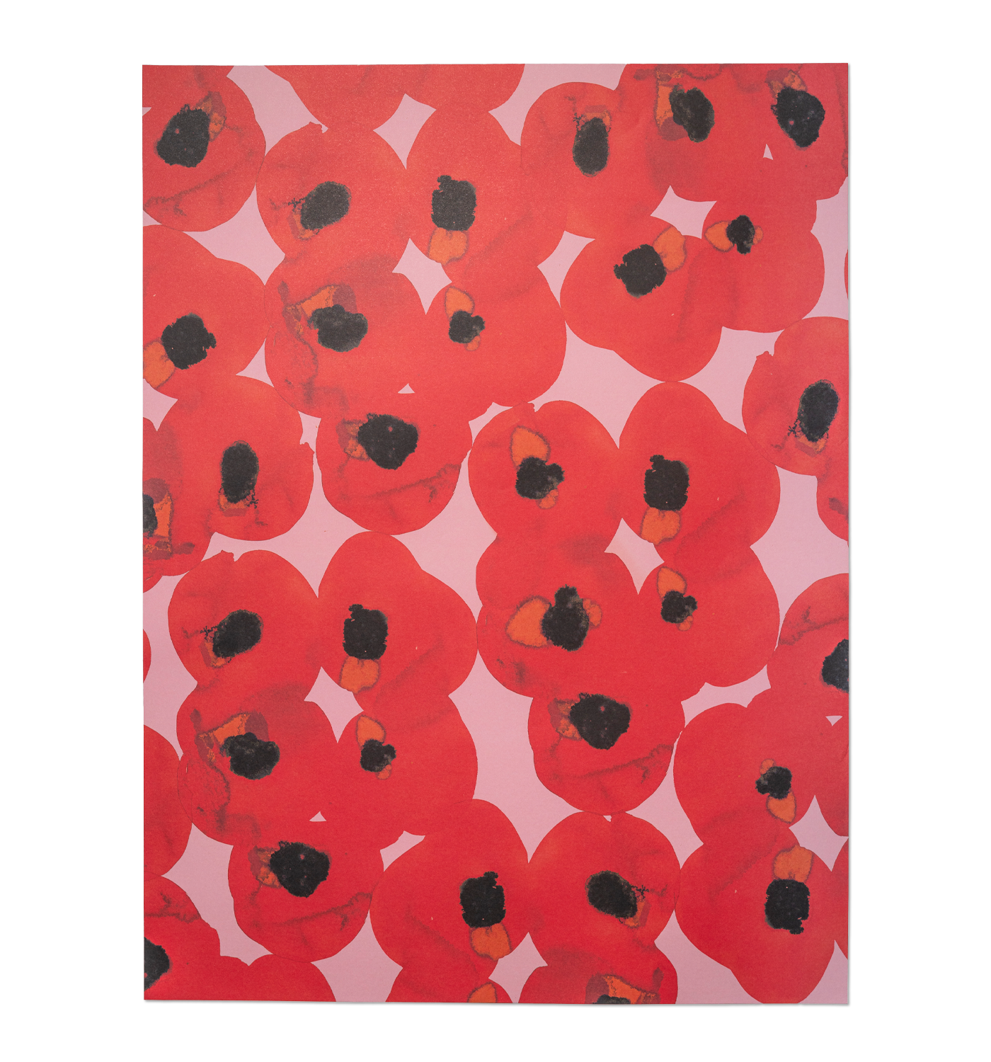 Ruby Poppies Poppies Ruby Watercolour Gift Wrap