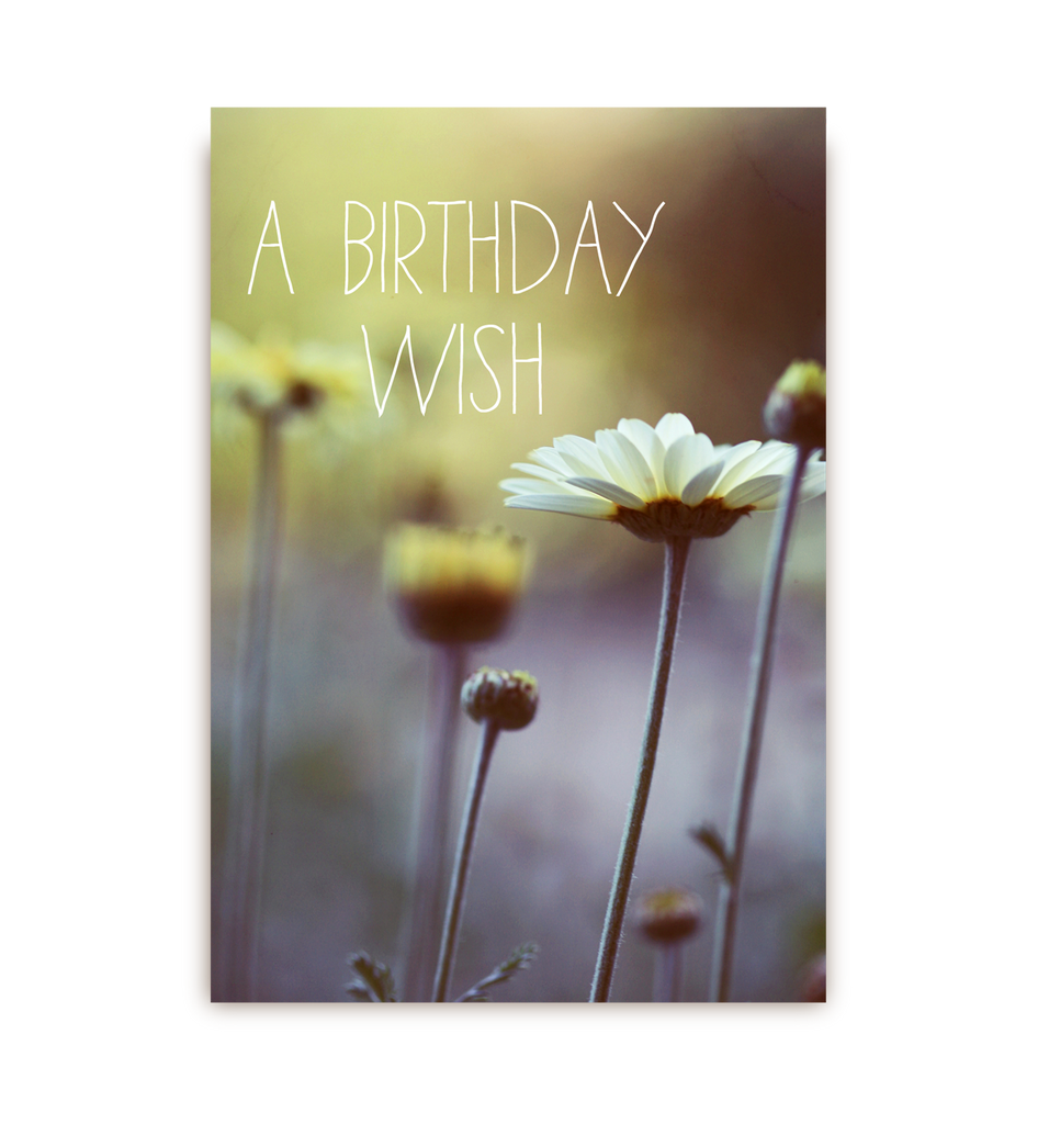 A Birthday Wish - Lagom Design