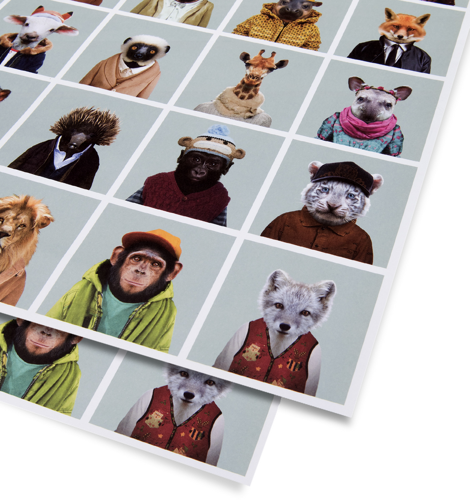 Zoo Portraits Gift Wrap - Lagom Design
