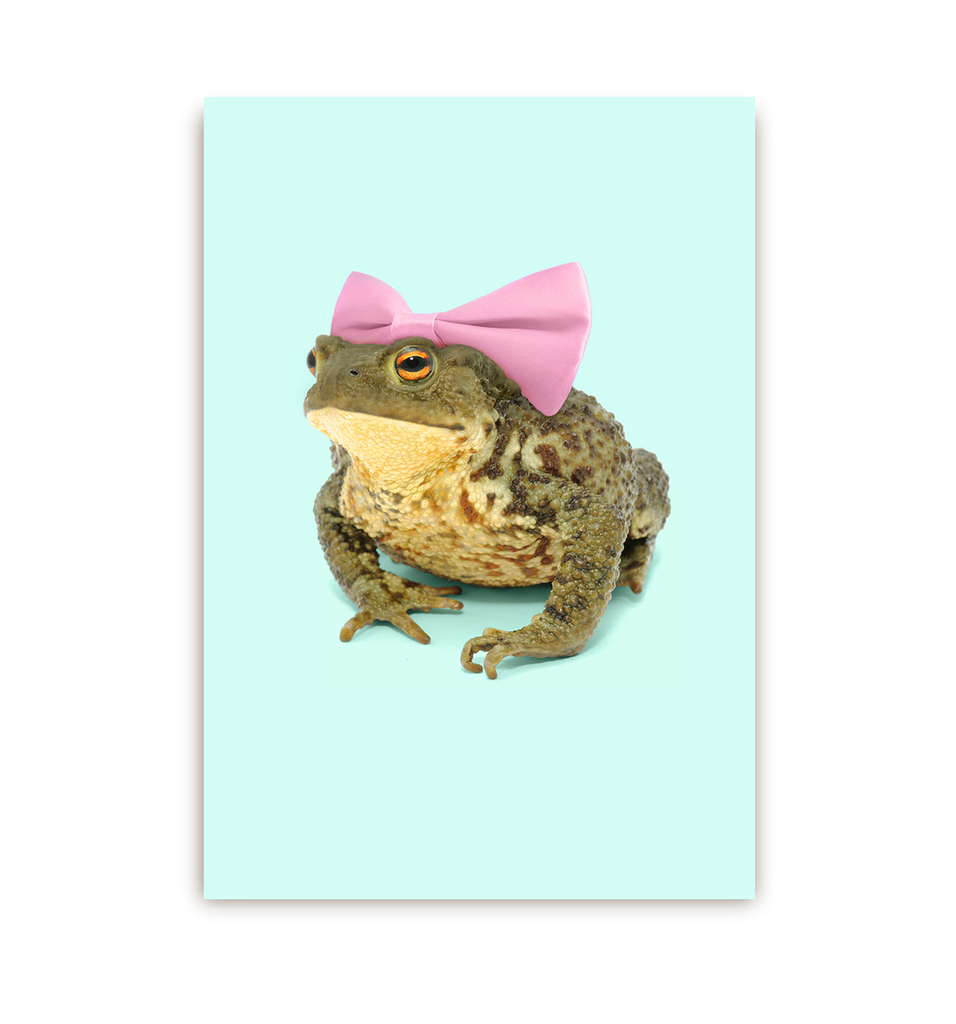 Bow Toad Postcard - Lagom Design