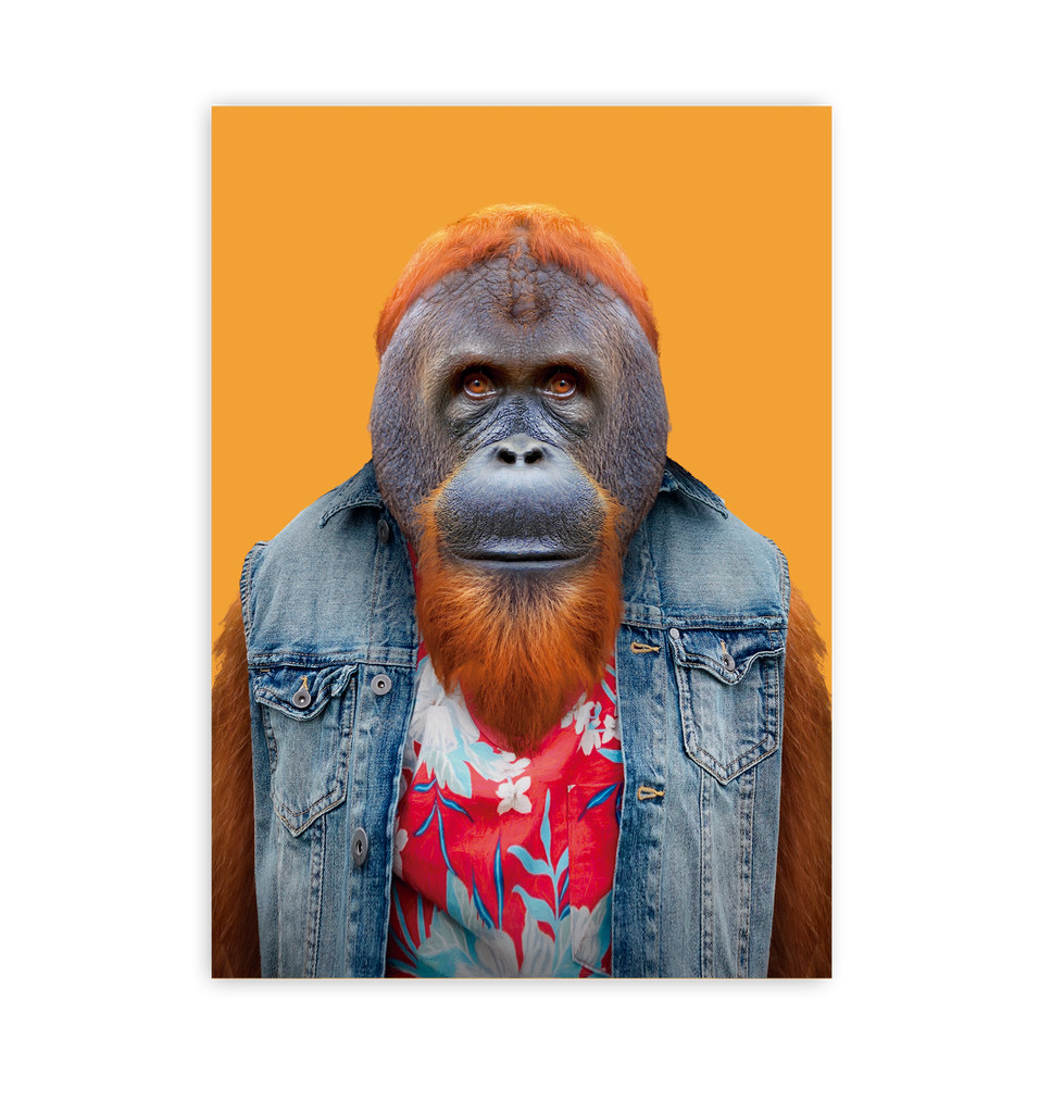 Bornean Orangutan - Lagom Design