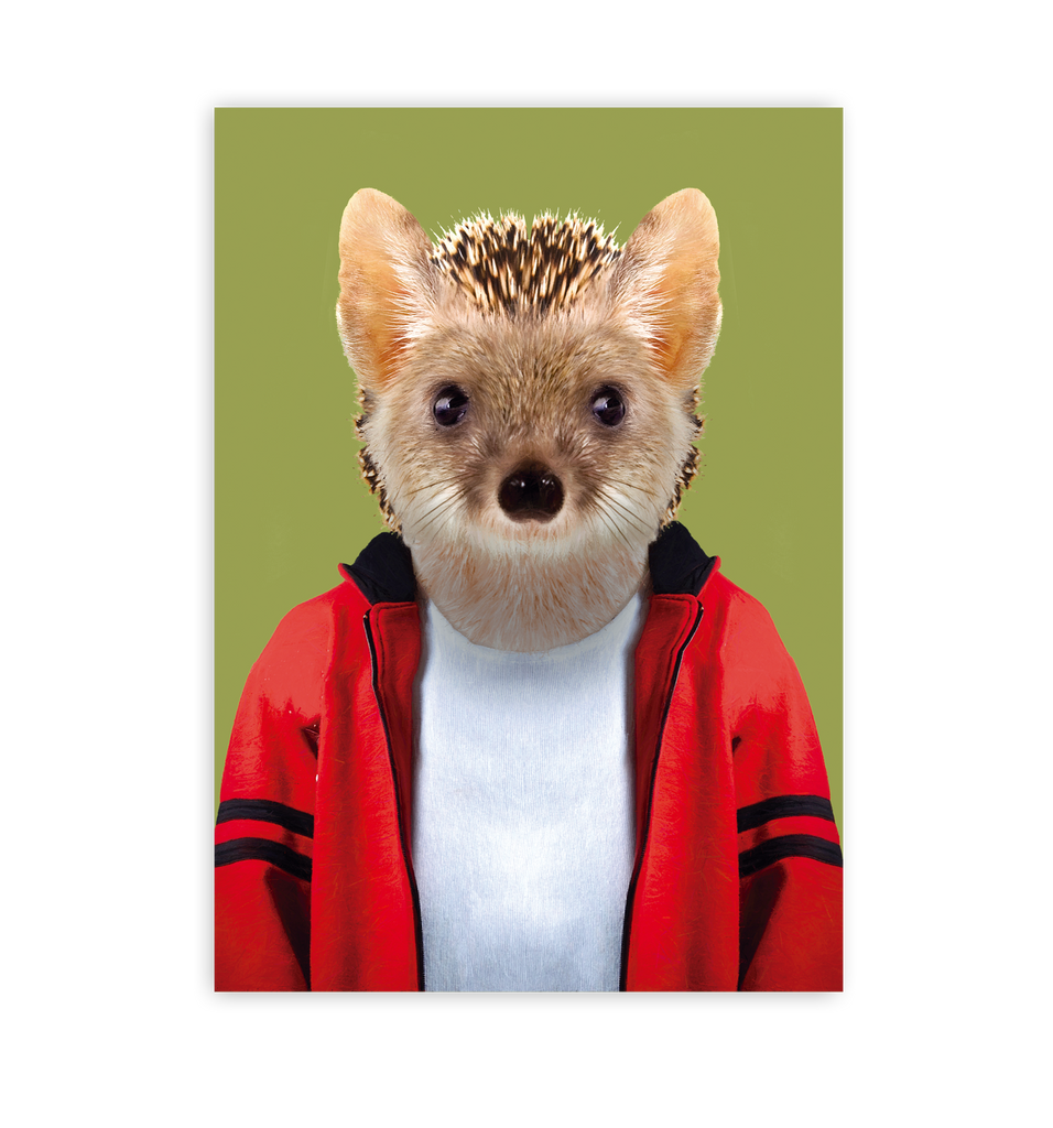 Long-eared Hedgehog - Lagom Design