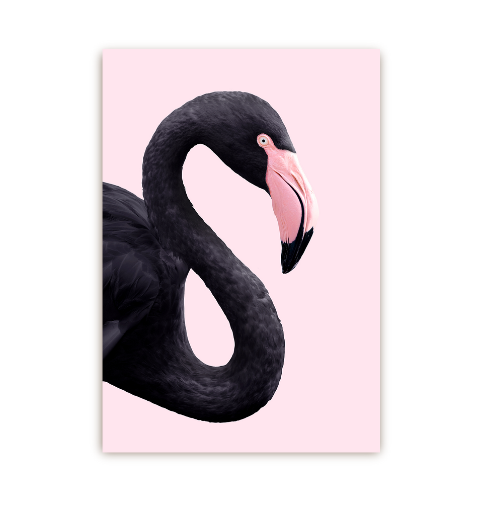 Black Flamingo - Lagom Design