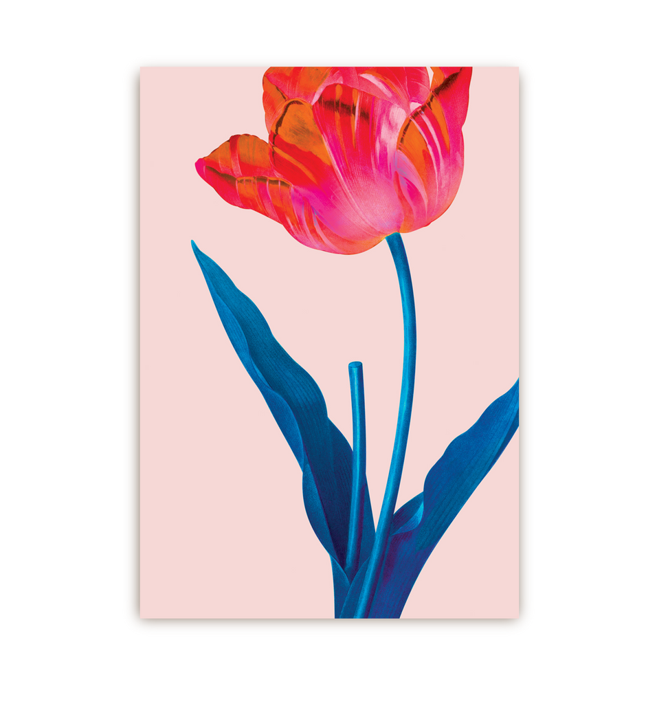 Tulip - Lagom Design