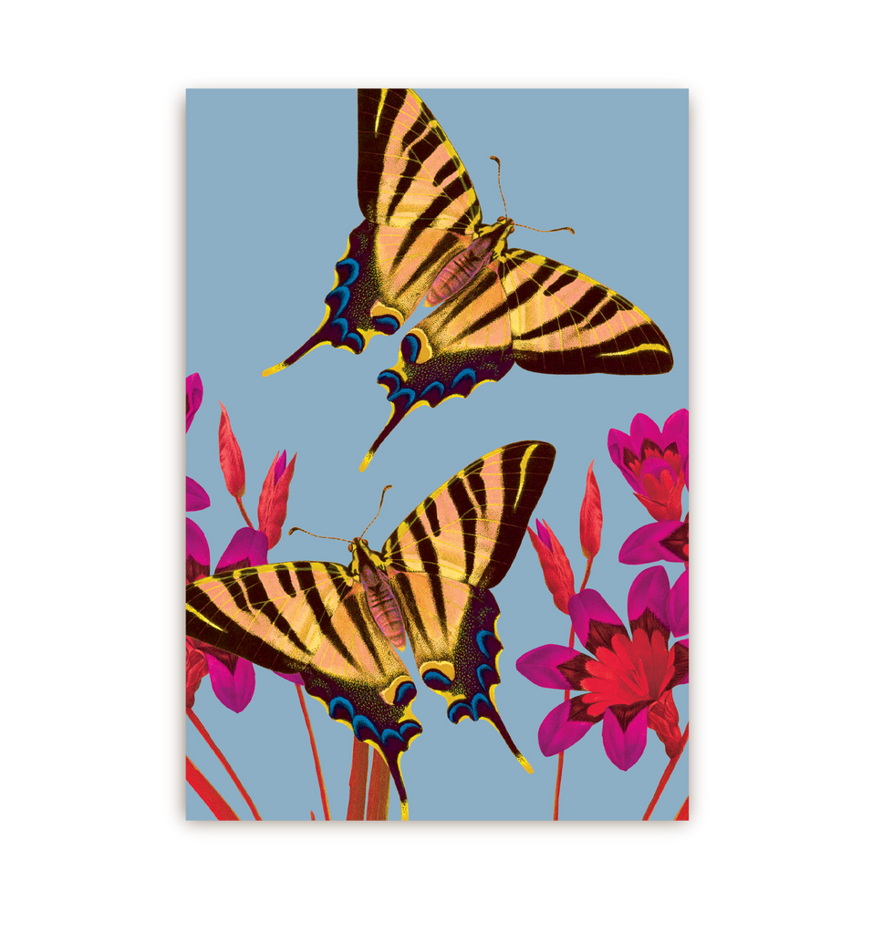 Ixia Butterfly - Lagom Design